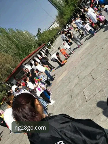 4个关键步骤+3个实用技巧：NG28登录教程官方下载全指南