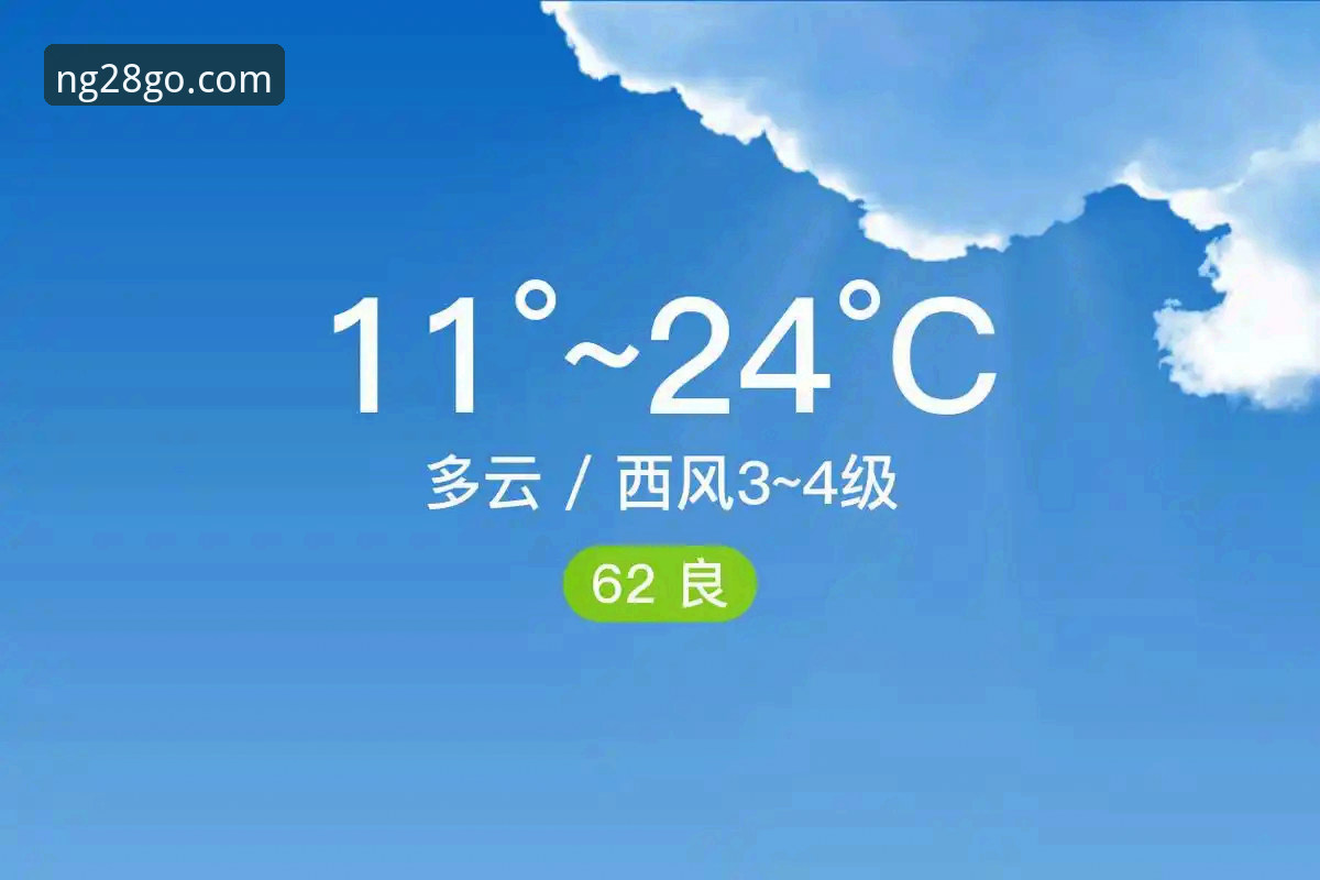 南宫28官方网址 揭秘南宫28官方网址:快速登录背后的技术真相与效率差距